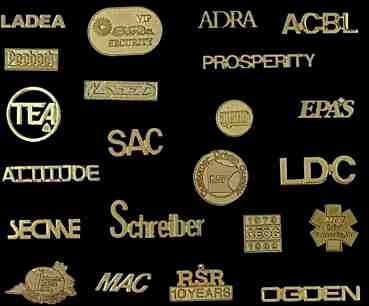PINS_PIC